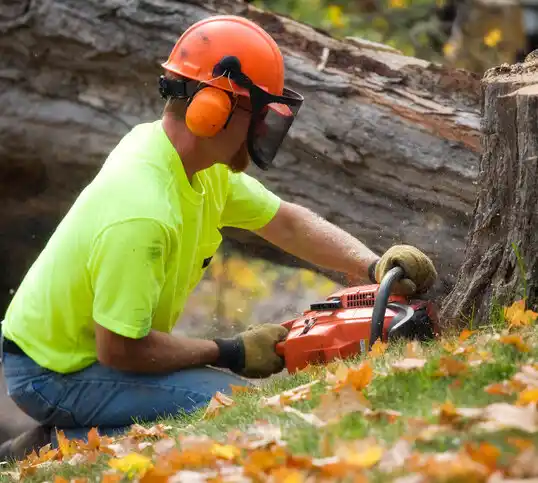 tree services Naval Academy